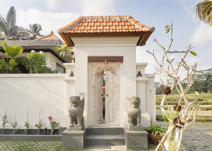 Dijero At Umah Bali