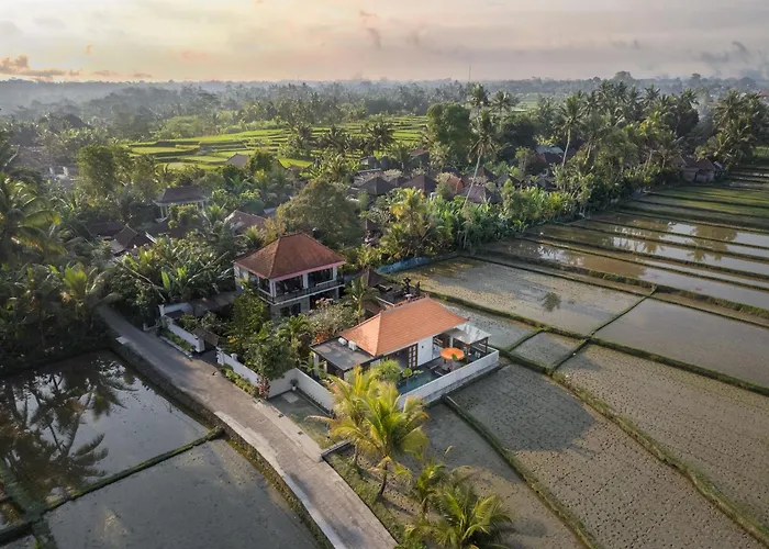 Dijero At Umah Bali *